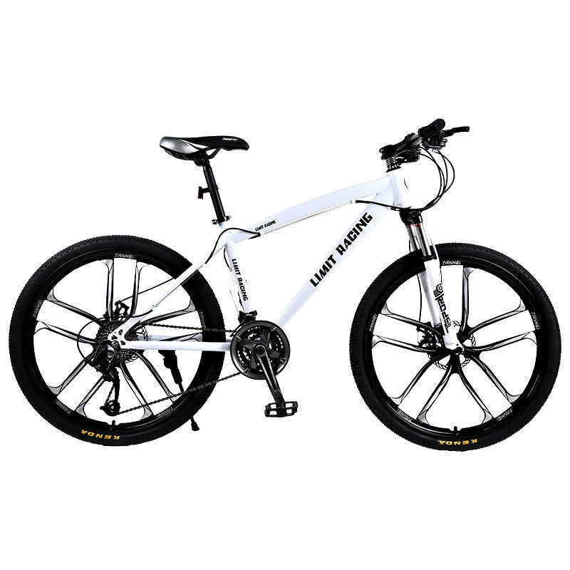 26 Inch Mountain Bike