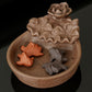 Fish Backflow Incense Burner
