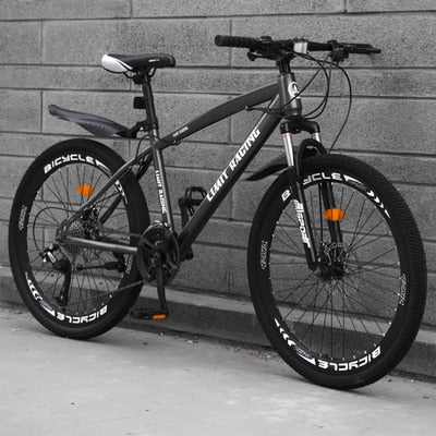 26 Inch Mountain Bike