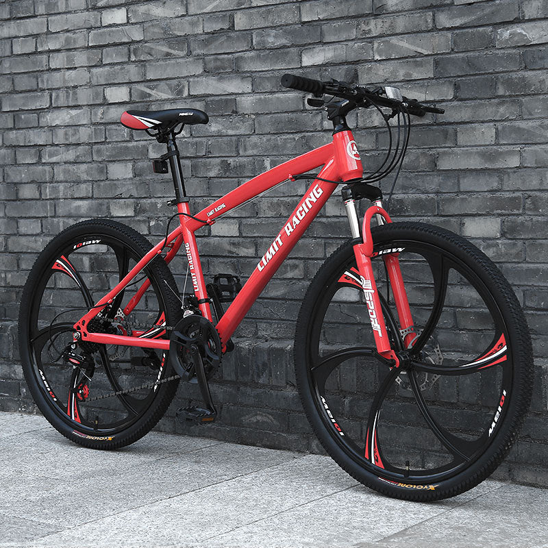 26 Inch Mountain Bike