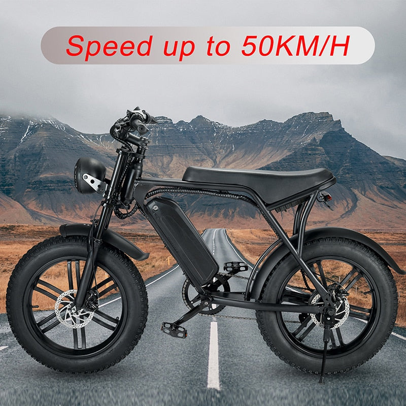 20inch Fat Electric Bike 48V 750W