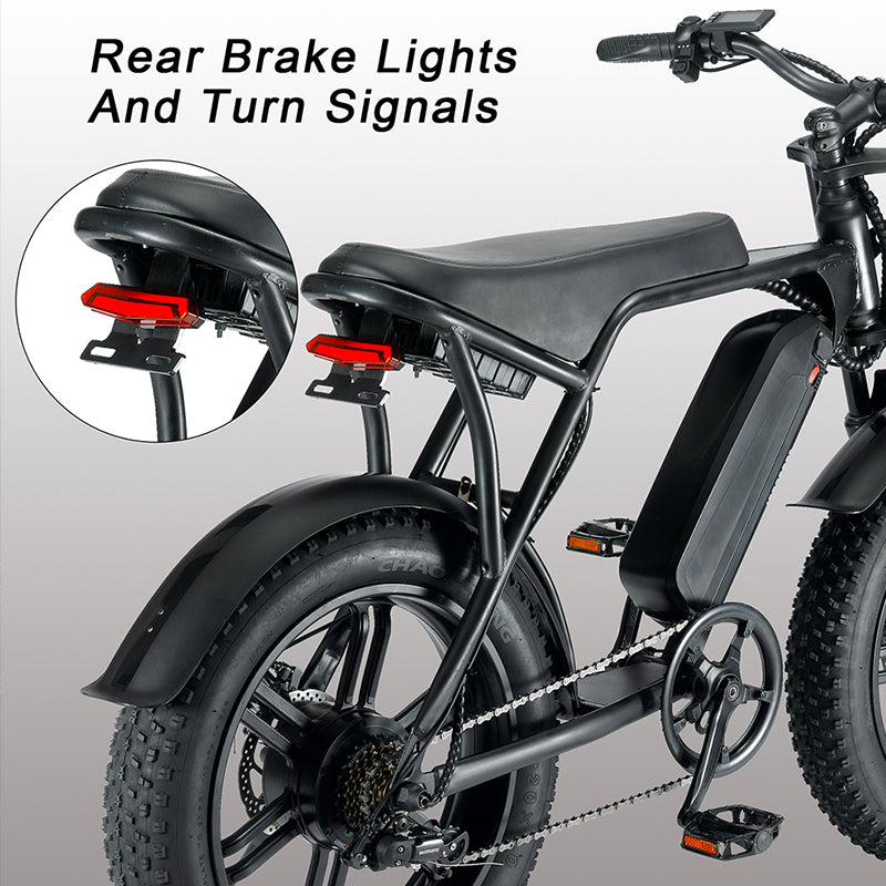 20inch Fat Electric Bike 48V 750W