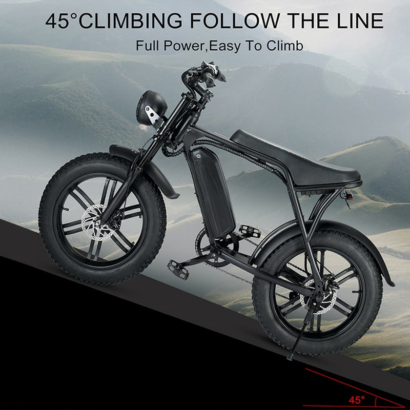 20inch Fat Electric Bike 48V 750W