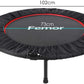 Mini Trampoline